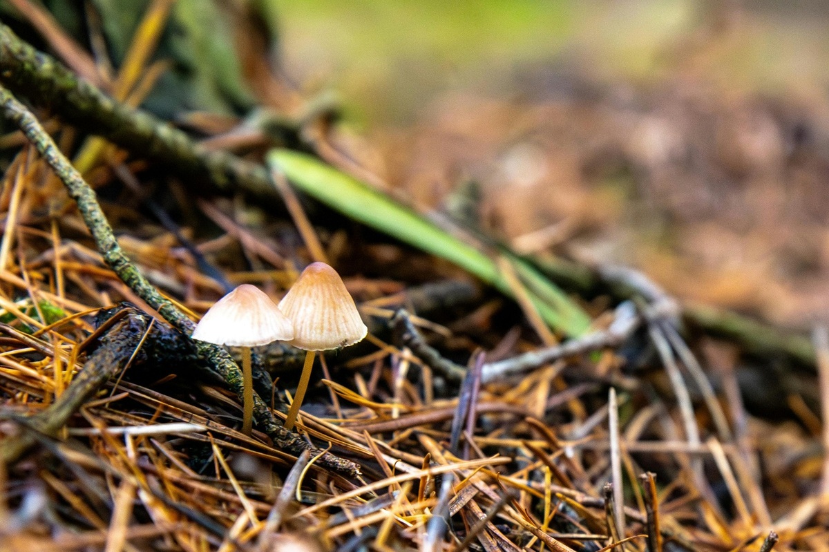Poistenie zodpovednosti manažmentu (D&O) a jeho význam v podnikaní